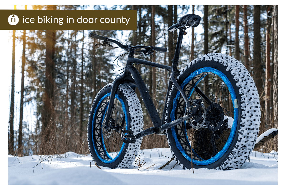 41 DIY Christmas Front Door Decorations