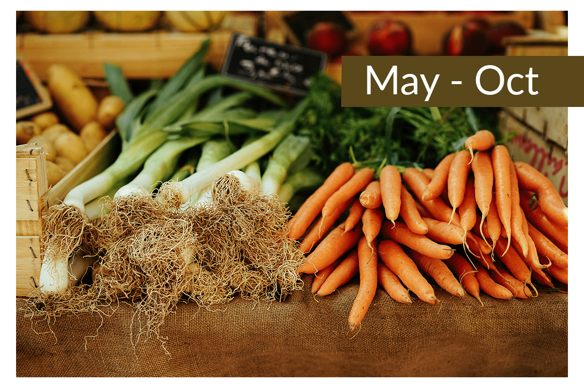 Door County Cherry Blossoms